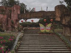 -松山湖梦幻百花洲