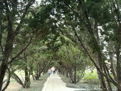 -洛阳古墓博物馆