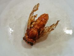-洪沟崖张记炒鸡店(聚才路店)