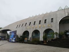 -自贡恐龙博物馆