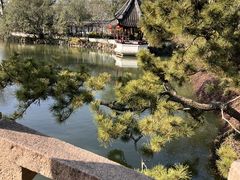 -上海醉白池公园