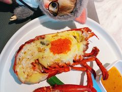 -蝶舍·MAISON PAPILLON