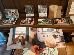 -懒鱼时光馆(沙坪坝店)