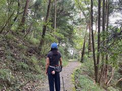 -天目山大树王景区