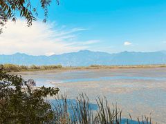 -野鸭湖国家湿地公园