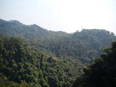 -佛山市三水区大南山森林公园