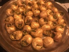 -金蜗牛