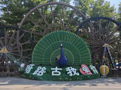 -呀路古热带植物园
