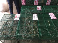 -荔城生鲜盛宴(番禺旗舰店)