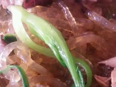 android_upload_pic-篱笆院东北饺子王(欧阳路店)