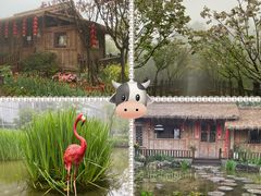 -南山植物园