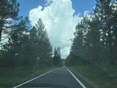 -塞罕坝国家级自然保护区