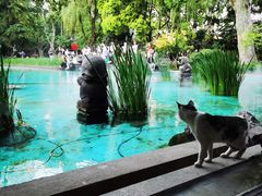 -静安公园(静安寺街道)
