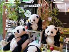 -轩客会(熊猫书店)