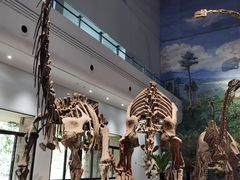 -自贡恐龙博物馆