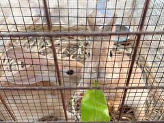 -新塘水果乐园(东洲大道店)