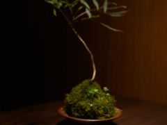 菜单-无味舒食(思南公馆店)