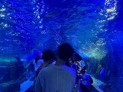 -江和美海洋公园