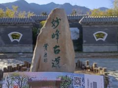 -阳台山自然风景区