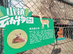 -枫叶小镇奥特莱斯