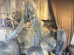 -西双版纳原始森林公园