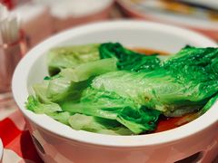 罗马生菜-西贝(上海我格广场店)