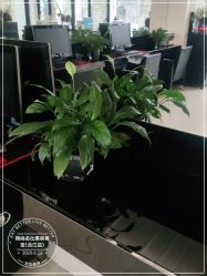 -锦尚名仕美容美发