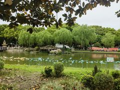 -上海鲜花港