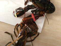 -盒马鲜生(曜一城店)