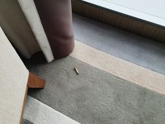 -珠海中海雅高铂尔曼酒店