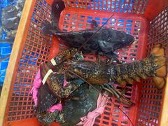 -船奇蒸汽海鲜·闽菜(八市海鲜总店)