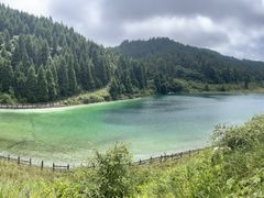 -武陵山森林公园