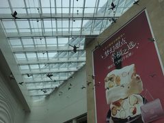 -厦门五通客运码头