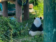 -沈阳森林动物园