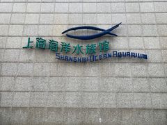 -上海海洋水族馆