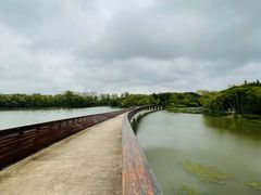 -昆山城市生态森林公园