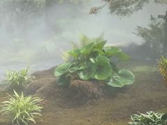 -上海植物园-4号门售票处