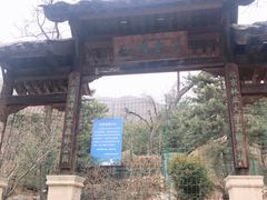 -北京鹫峰国家森林公园
