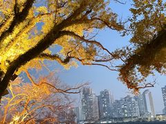 -江心屿景区
