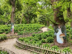 -上海共青森林公园