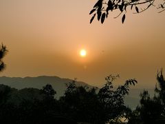 -铁山坪森林公园