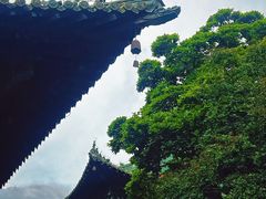 -报恩寺(平武县)