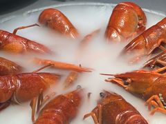-红盔甲·小龙虾(天钥桥店)