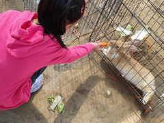 -前小桔亲子创意农场·草莓采摘·露营烧烤