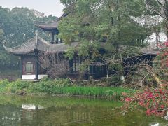 -桂湖森林公园