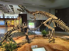 -自贡恐龙博物馆