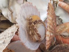 -蓝珊甄选海鲜自助·火锅大排档(近阿那亚店)