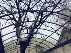 -zarah(鼓楼店)