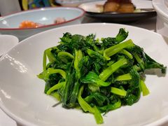 高山豆苗-南麓·浙里(外滩店)