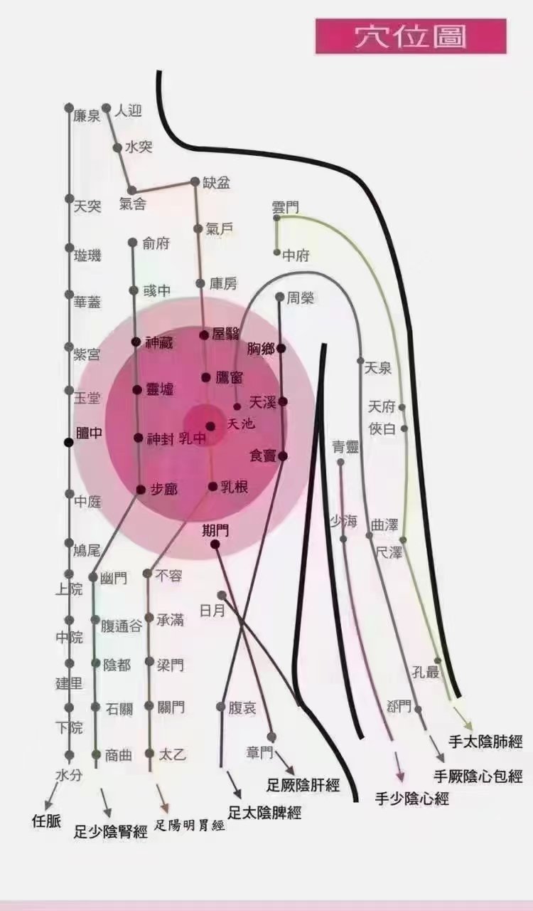 胸上九条经络图图片